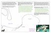coo1e40 endeavour river 7_thumb.gif